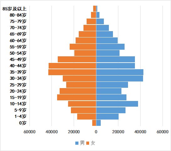 枞阳县人口数据