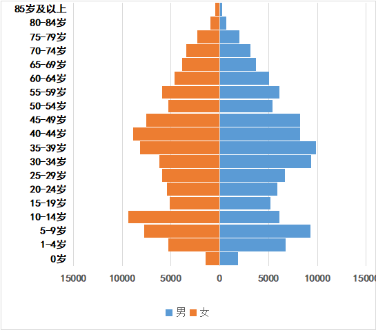 镇雄县人口结构图片